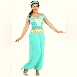 Disney Princess JASMINE Deluxe Adult  L 12-14Costume Complete Halloween, Cosplay